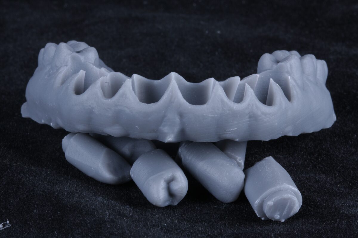 Modelo de arcada dental impreso en 3D